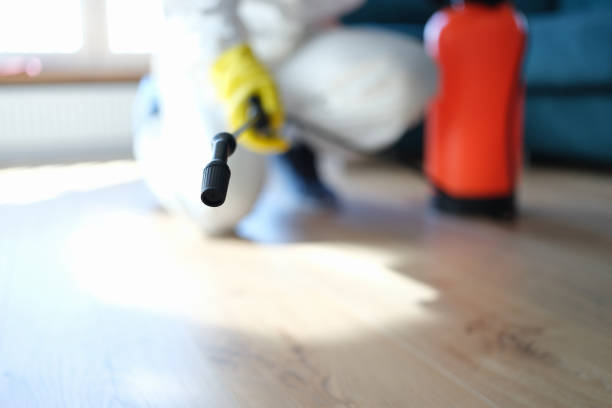 Asbestos and Lead Testing During Mold Inspection in Hillsboro, OH